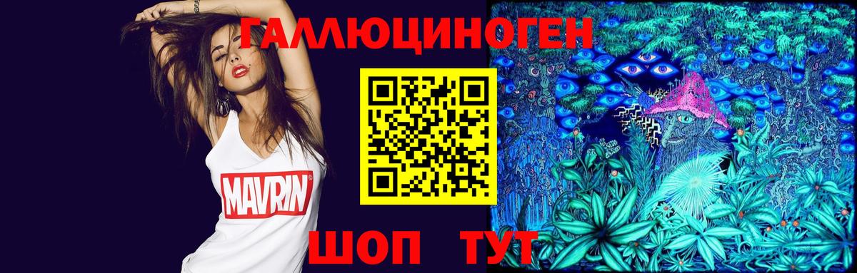 Псилоцибиновые грибы GOLDEN TEACHER Дивногорск