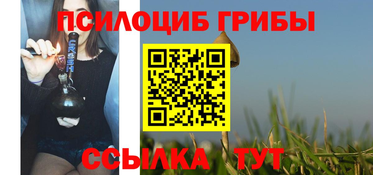 Псилоцибиновые грибы Psilocybine cubensis  Вход с VPN  Дивногорск 